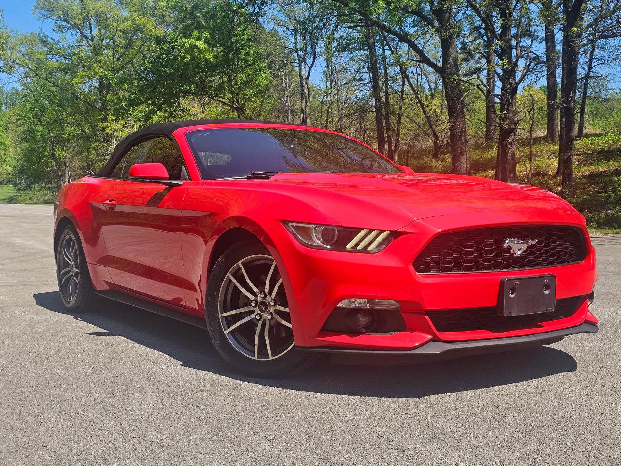 Used 2016 Ford Mustang Premium RWD image 1
