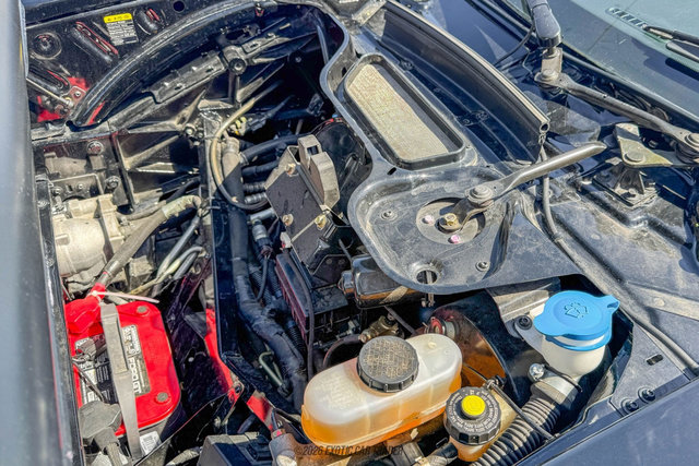 Used 2005 Ford GT RWD image 25