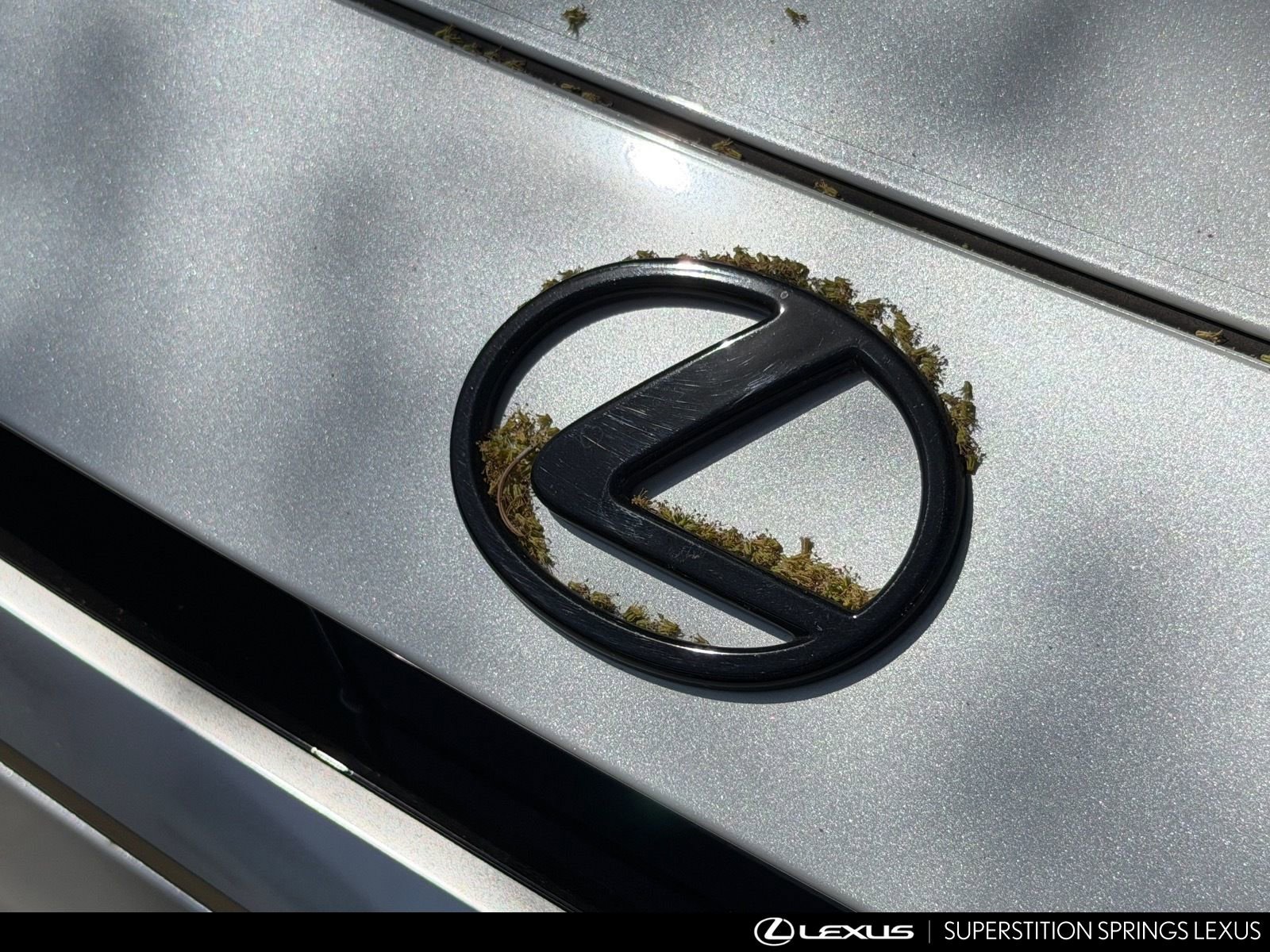 Used 2025 Lexus TX 350 FWD w/ Convenience Package image 7