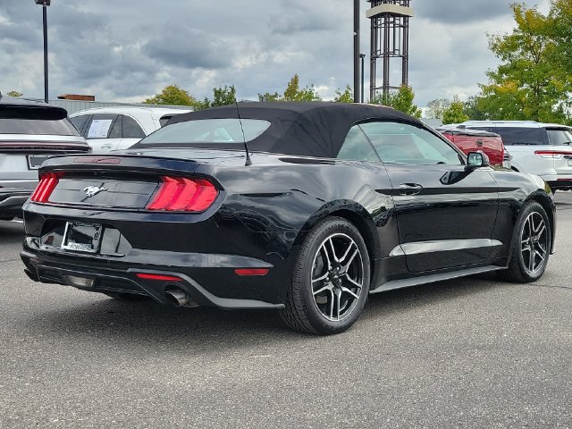 Used 2018 Ford Mustang Premium w/ Equipment Group 201A RWD image 4