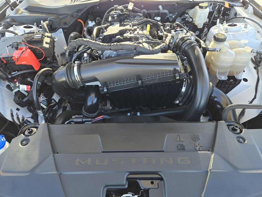 Used 2024 Ford Mustang Premium w/ Mustang Nite Pony Package image 30