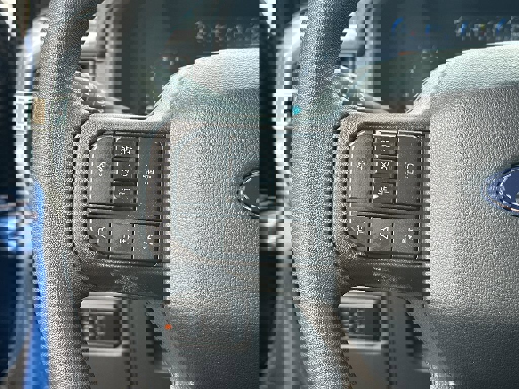 New 2025 Ford F150 STX w/ Equipment Group 200A image 15