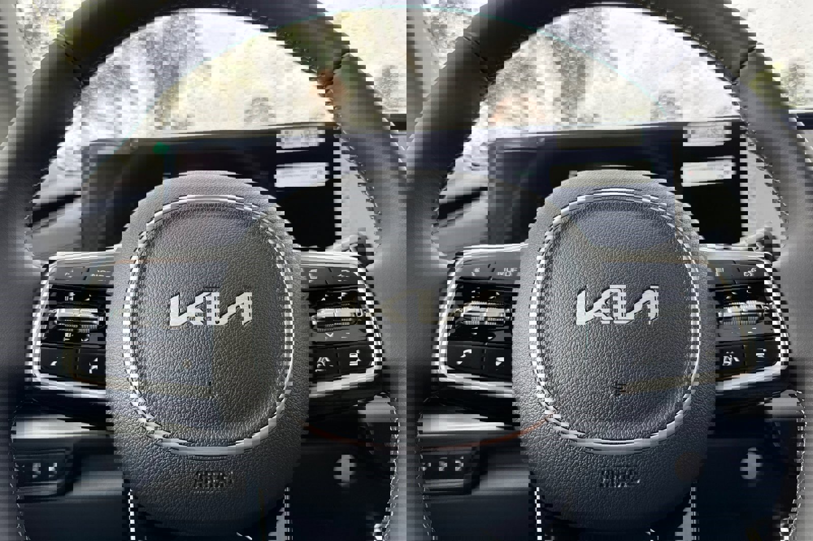 New 2026 Kia Carnival SX Prestige image 25