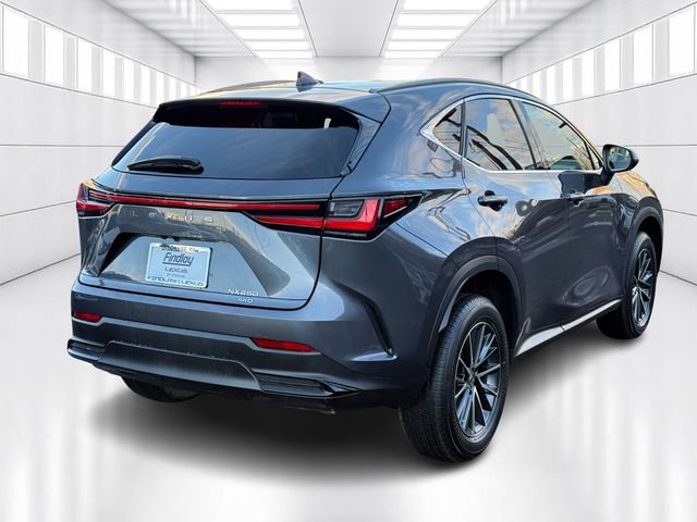 Certified 2023 Lexus NX 250 250 Base image 5