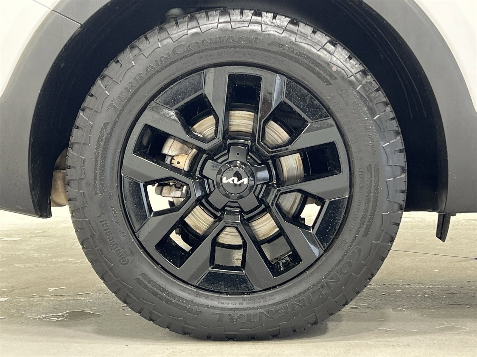 Used 2024 Kia Telluride SX Prestige X-Pro image 10