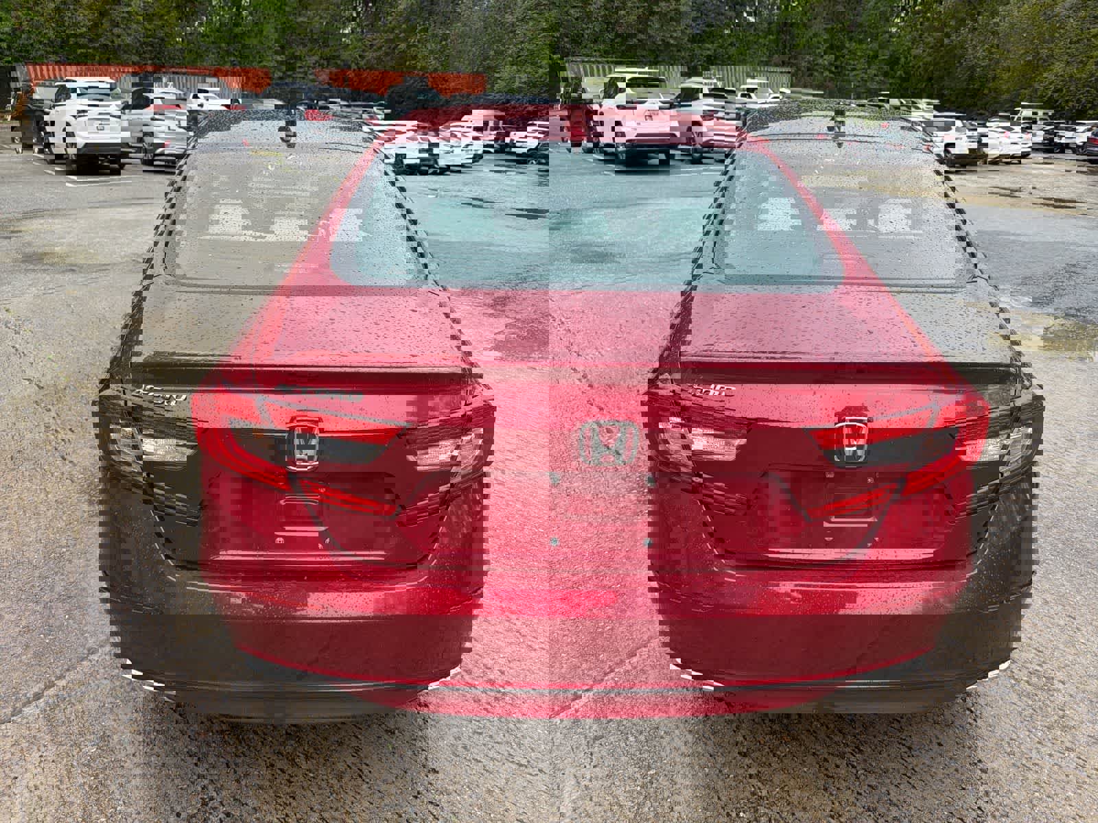 Used 2021 Honda Accord LX image 8