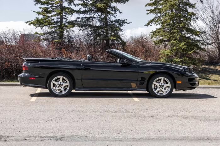 Used 1999 Pontiac Firebird Trans Am RWD image 2
