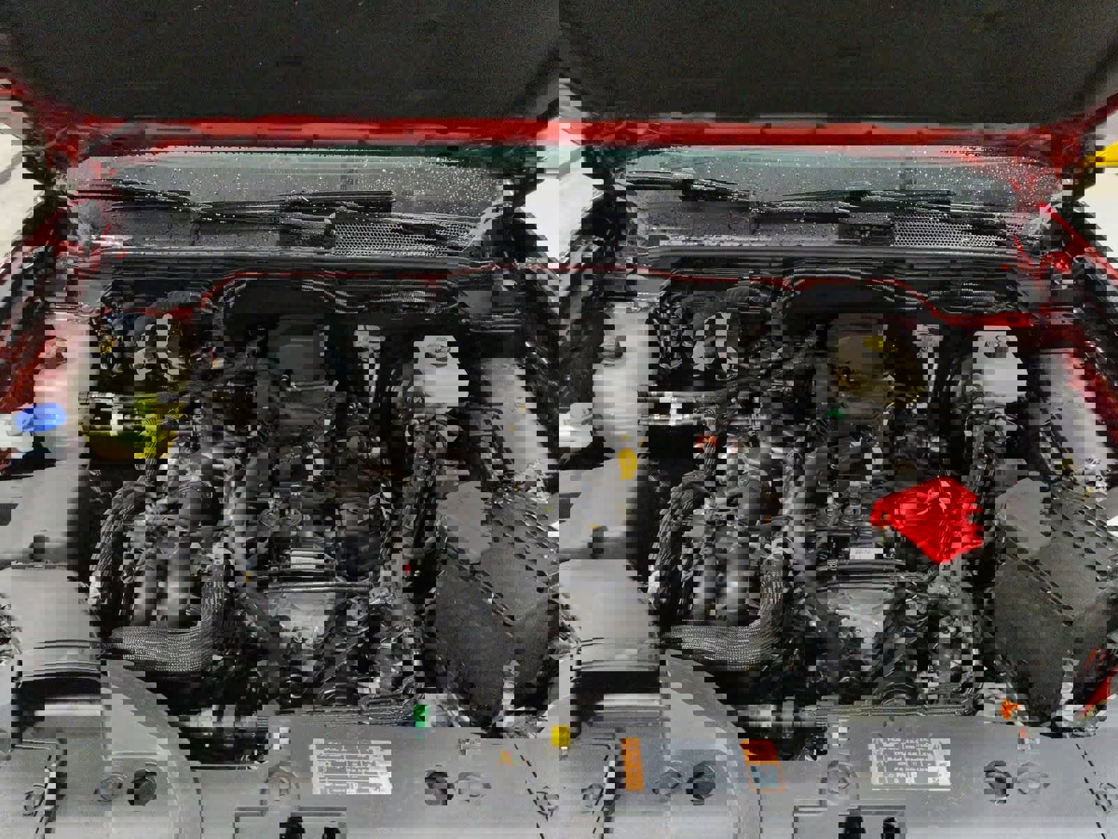 Used 2024 Ford Ranger XLT w/ Equipment Group 301A High image 7