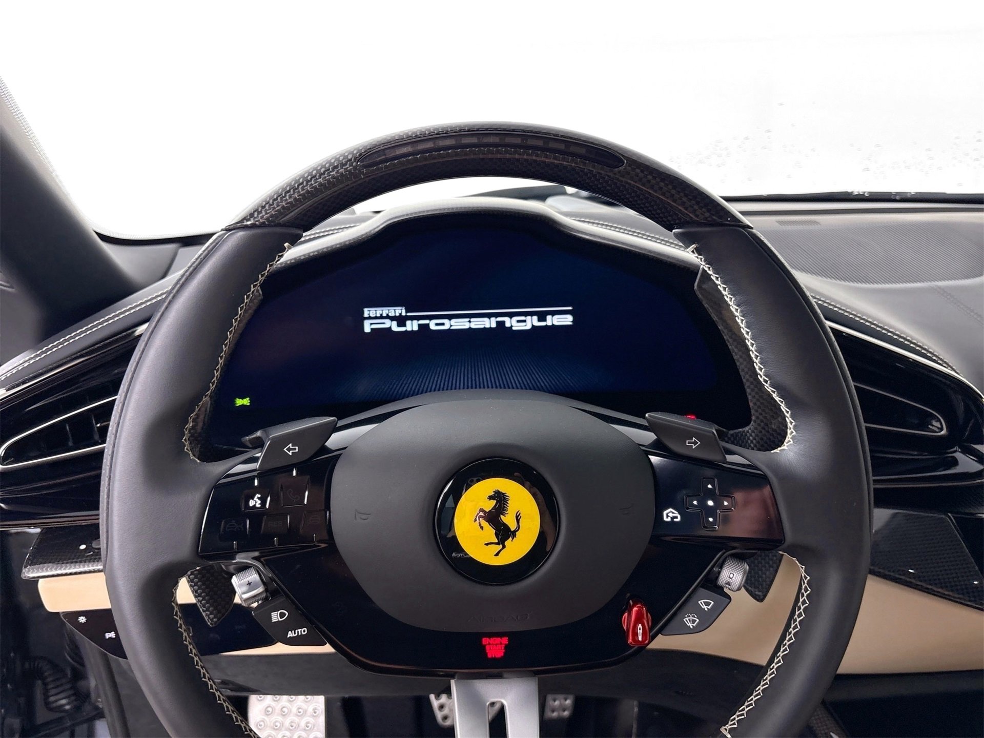 Certified 2025 Ferrari Purosangue image 13