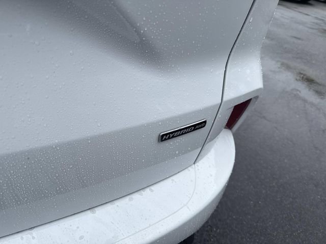 Used 2023 Ford Escape ST-Line Select AWD/4WD image 5
