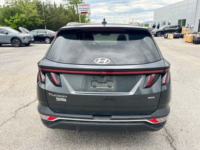 Used 2022 Hyundai Tucson SEL w/ Convenience + Premium Package AWD/4WD image 6