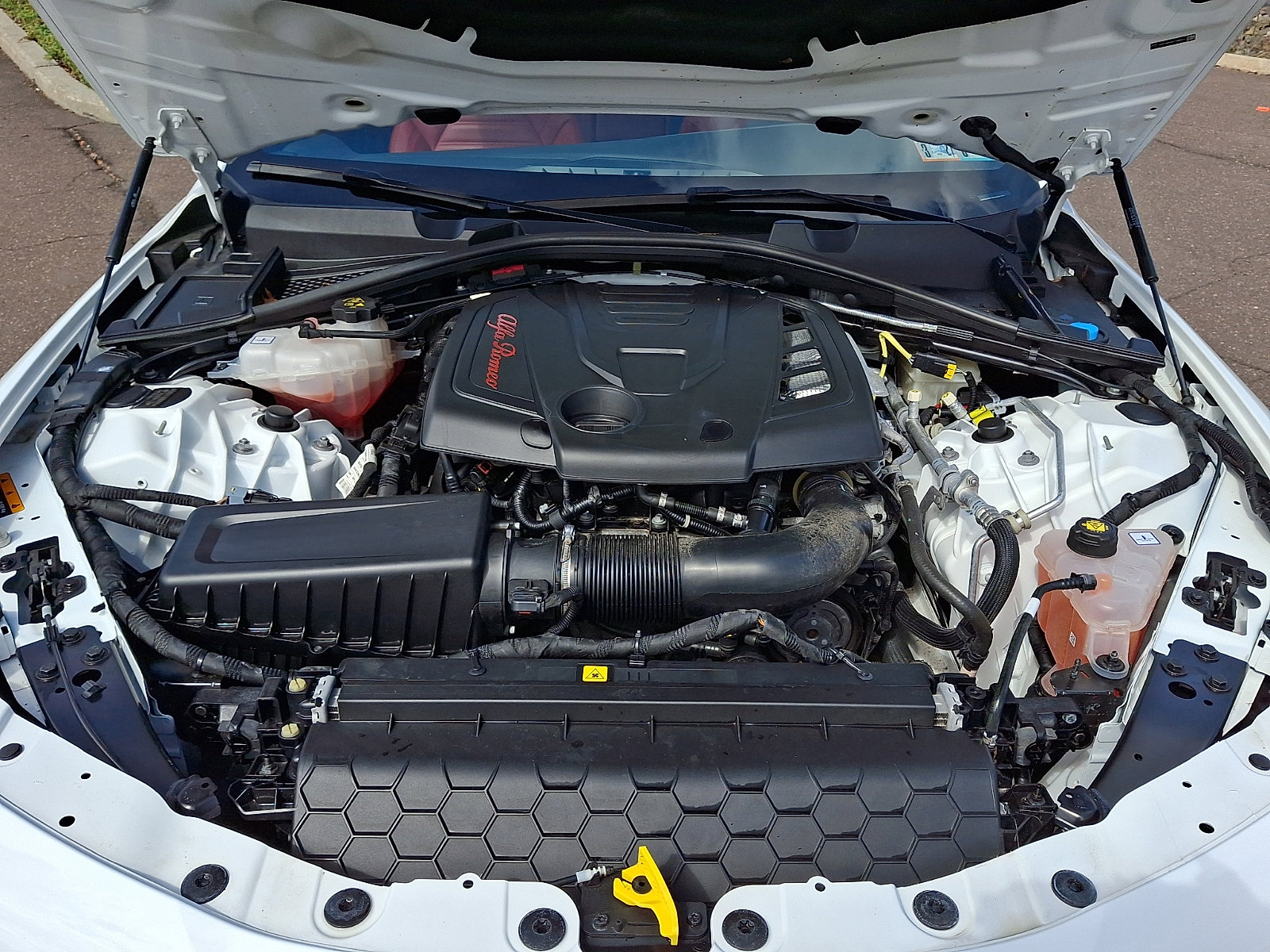 Used 2023 Alfa Romeo Giulia Veloce image 29