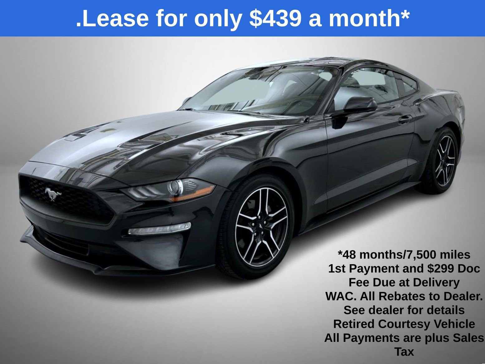 Used 2023 Ford Mustang Coupe w/ Equipment Group 101A