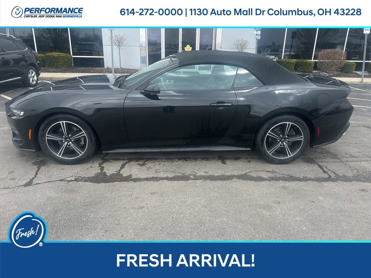 Used 2024 Ford Mustang Premium image 7