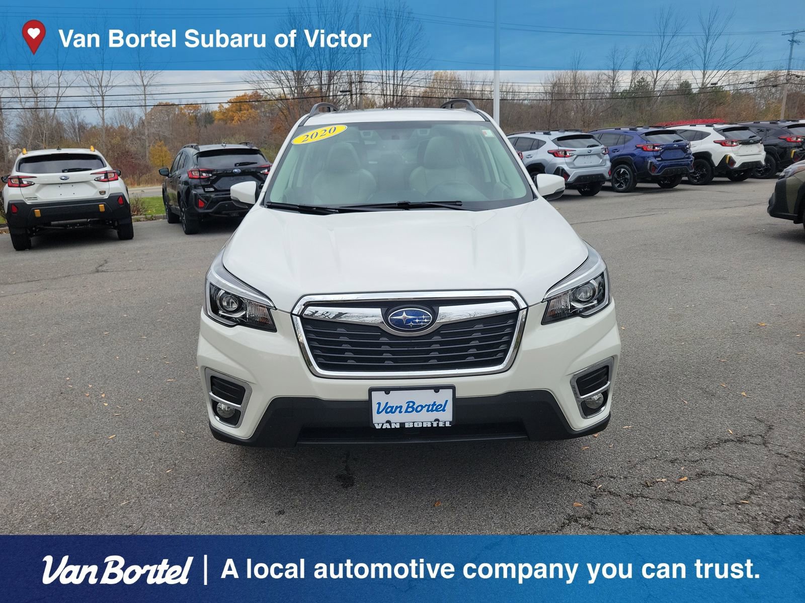 Used 2020 Subaru Forester Limited image 8
