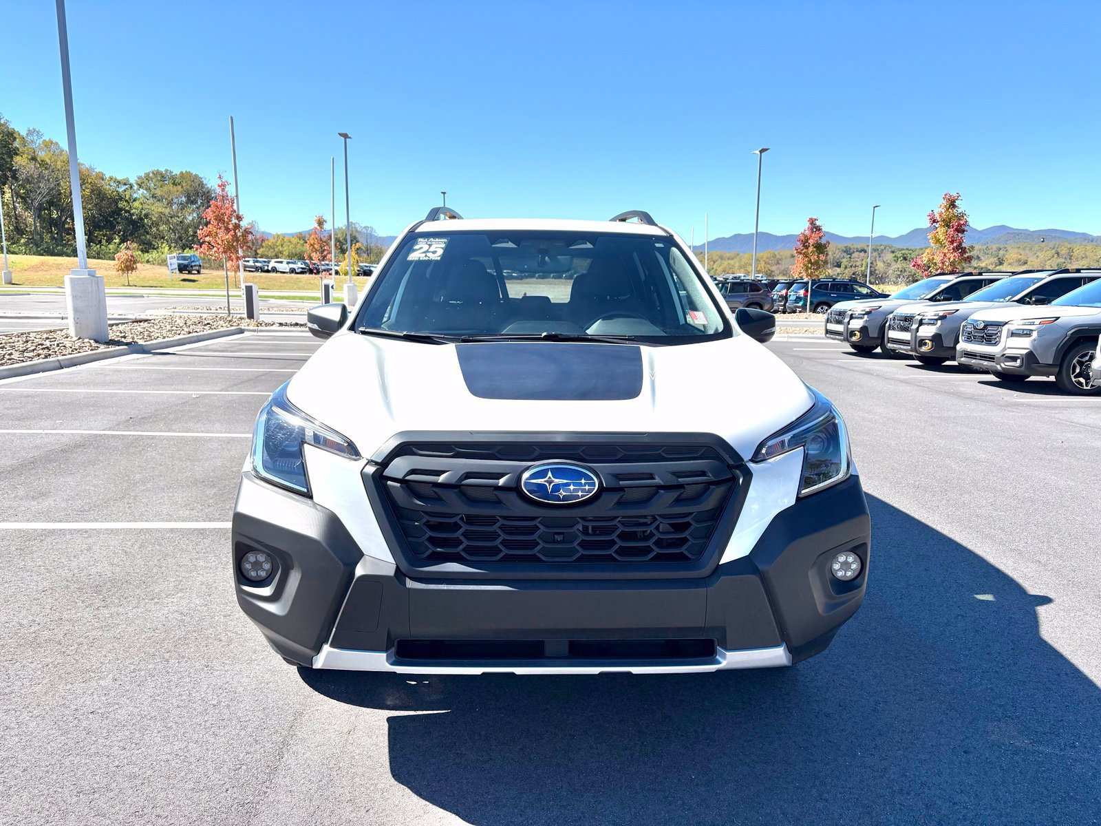 Certified 2025 Subaru Forester Wilderness w/ Wilderness Package AWD/4WD image 2