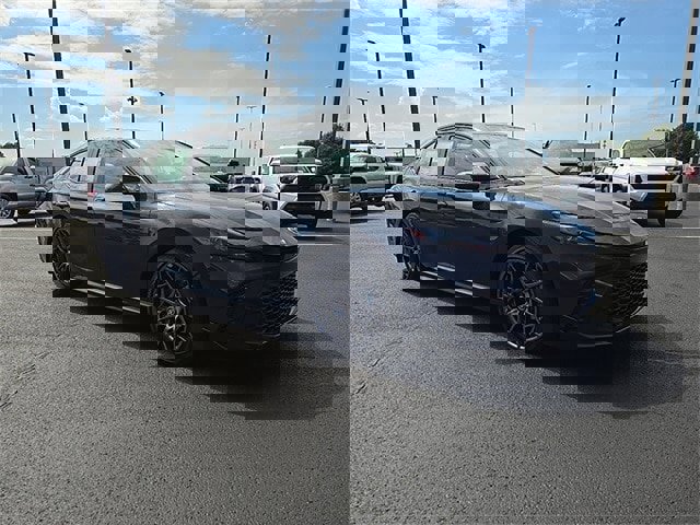 View Video