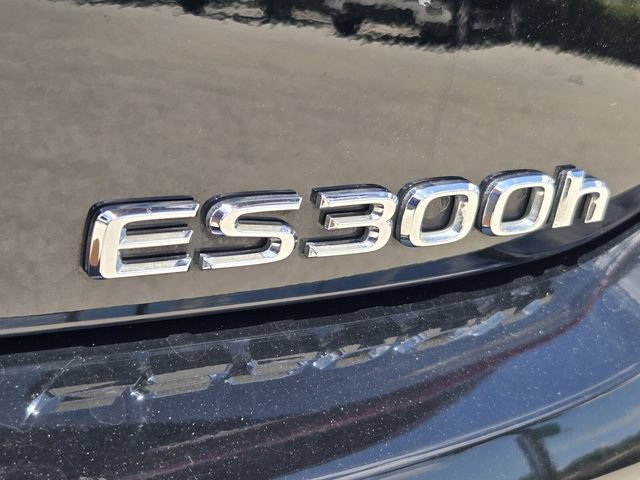 Used 2024 Lexus ES 300h F Sport FWD image 14