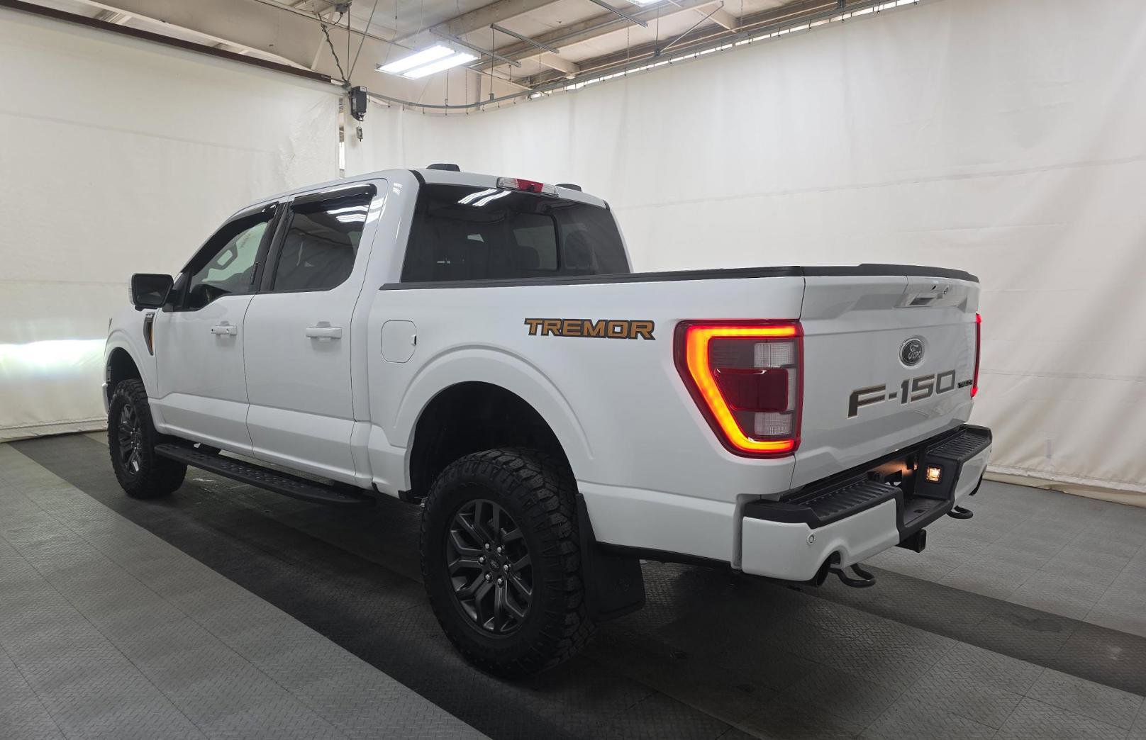 Used 2022 Ford F150 Tremor w/ Equipment Group 402A High image 7