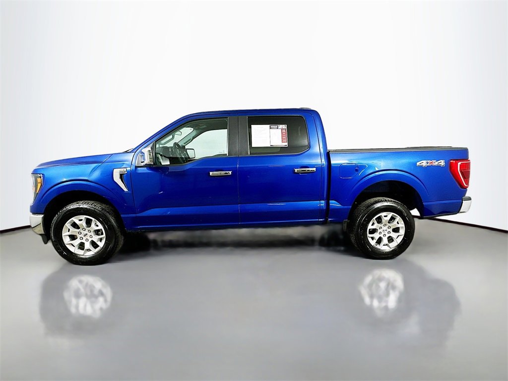 Used 2023 Ford F150 XLT image 5