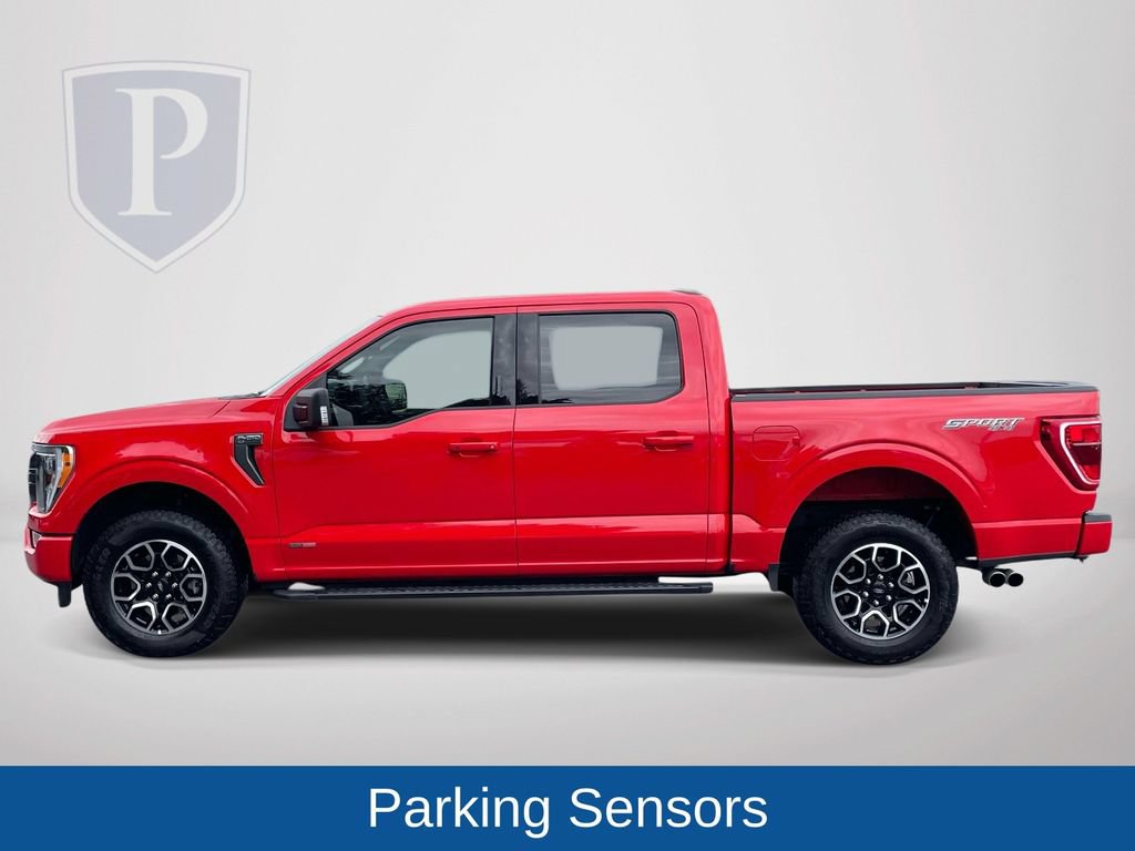 Used 2023 Ford F150 XLT w/ Equipment Group 302A High AWD/4WD image 5