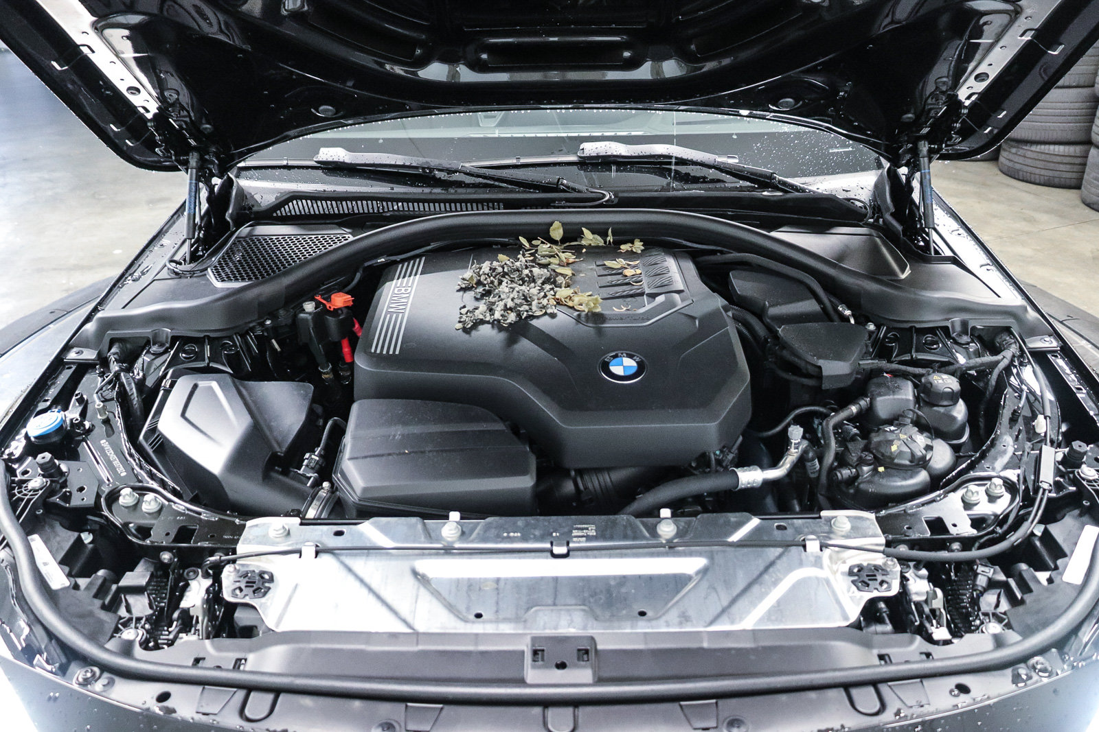 New 2026 BMW 230i Coupe w/ Premium Package RWD image 27