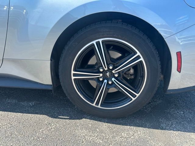 Used 2024 Ford Mustang Premium image 5