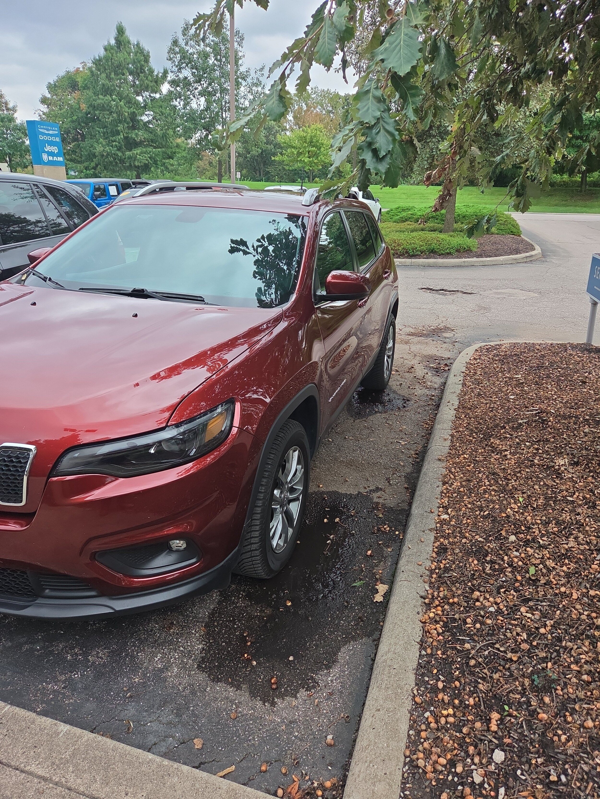 Used 2019 Jeep Cherokee Latitude Plus w/ Cold Weather Group AWD/4WD image 2