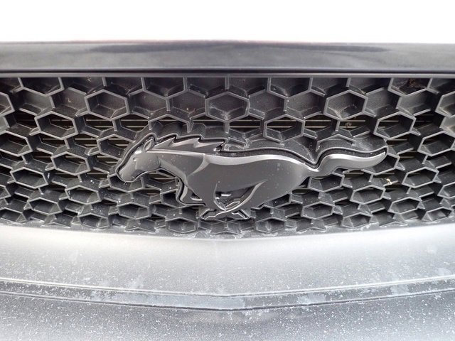 Used 2015 Ford Mustang GT Premium image 11