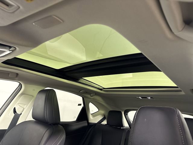 Certified 2024 Lexus NX 350h AWD w/ Vision Package image 21