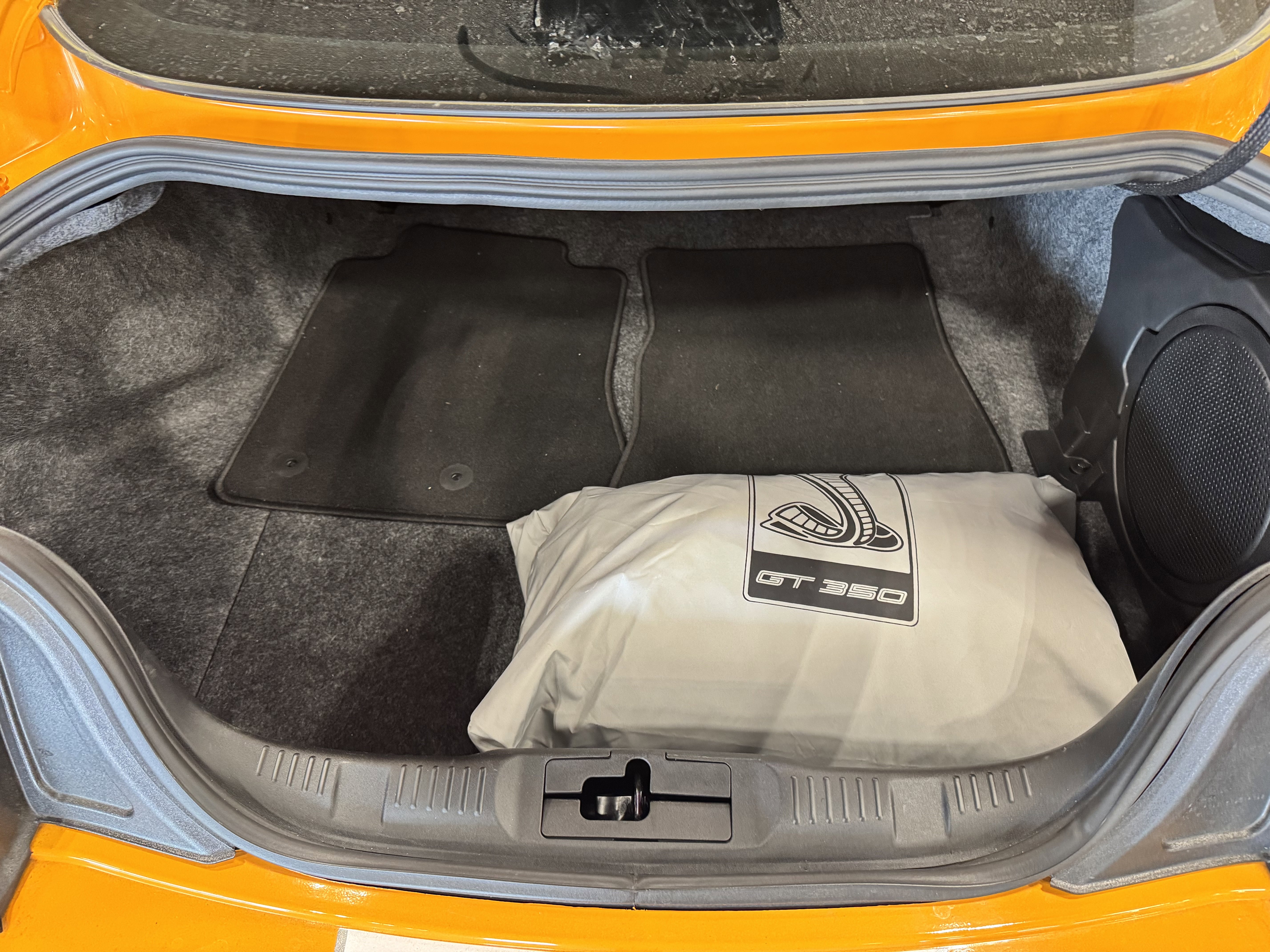 Used 2019 Ford Mustang Shelby GT350 w/ Technology Package RWD image 28