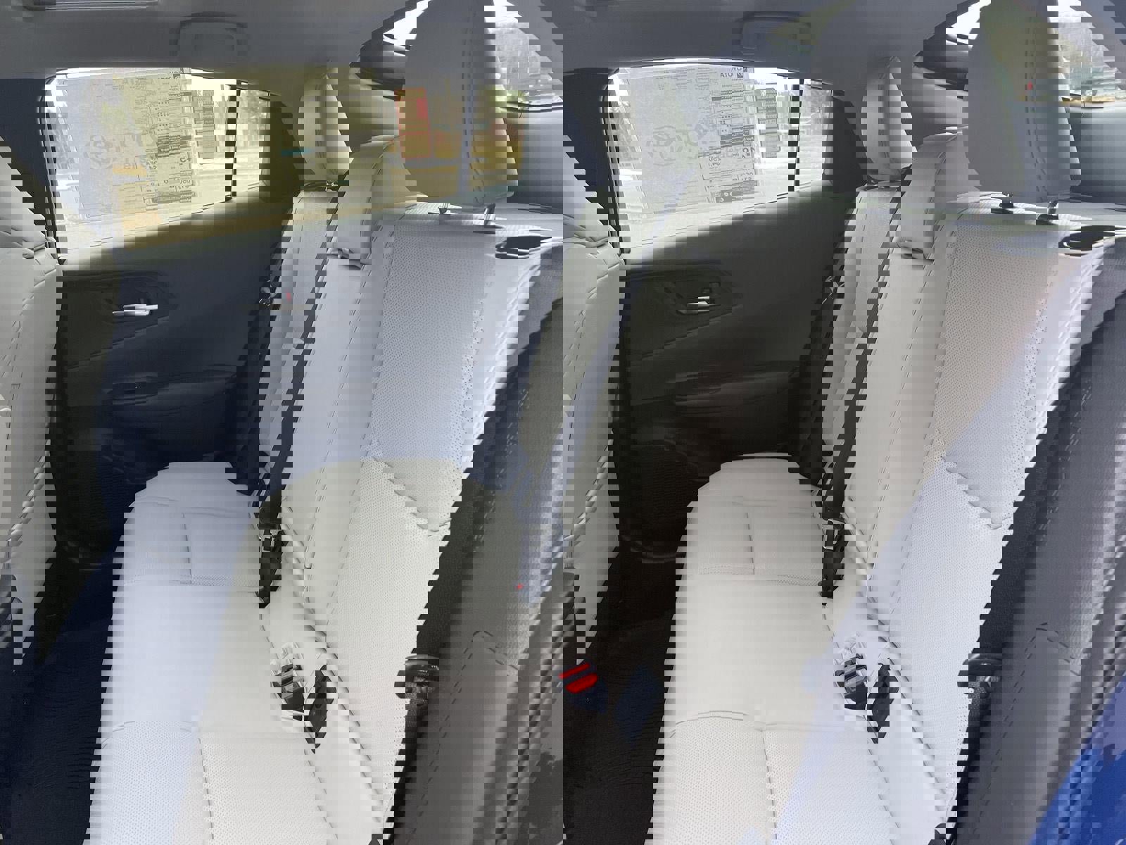 Used 2025 Toyota Prius XLE image 11