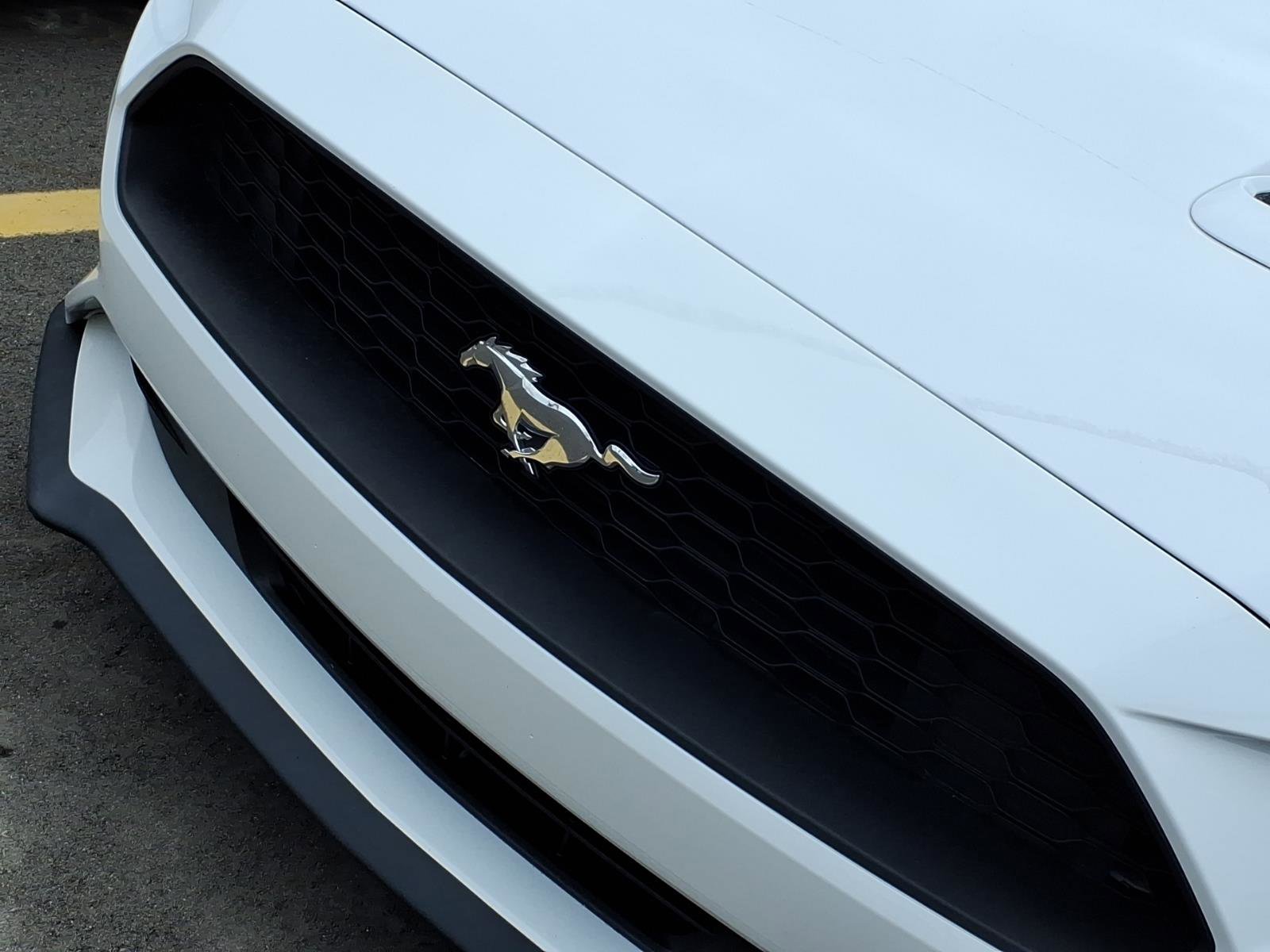 Used 2022 Ford Mustang Premium w/ Equipment Group 201A image 28