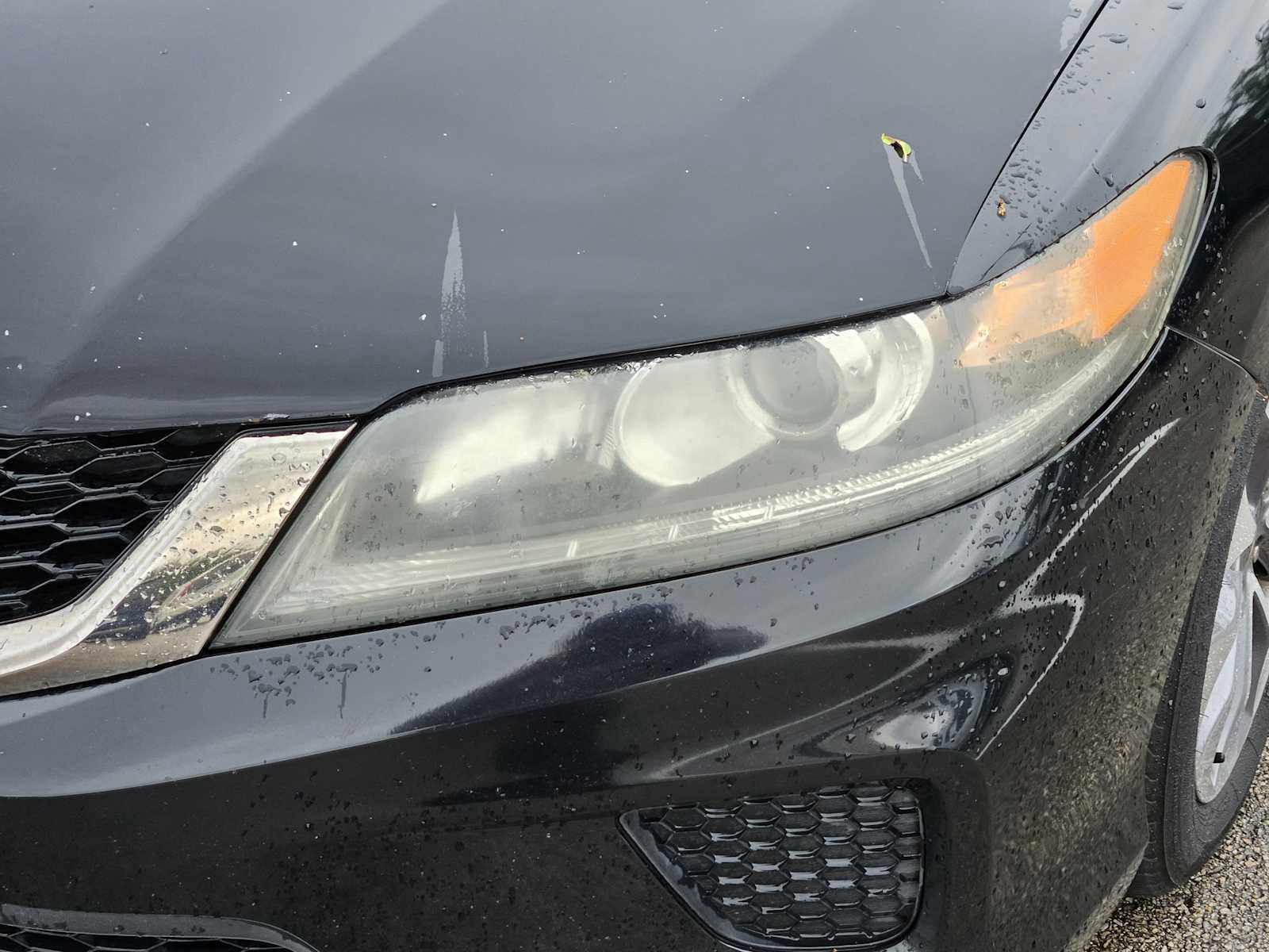 Used 2013 Honda Accord LX-S image 7