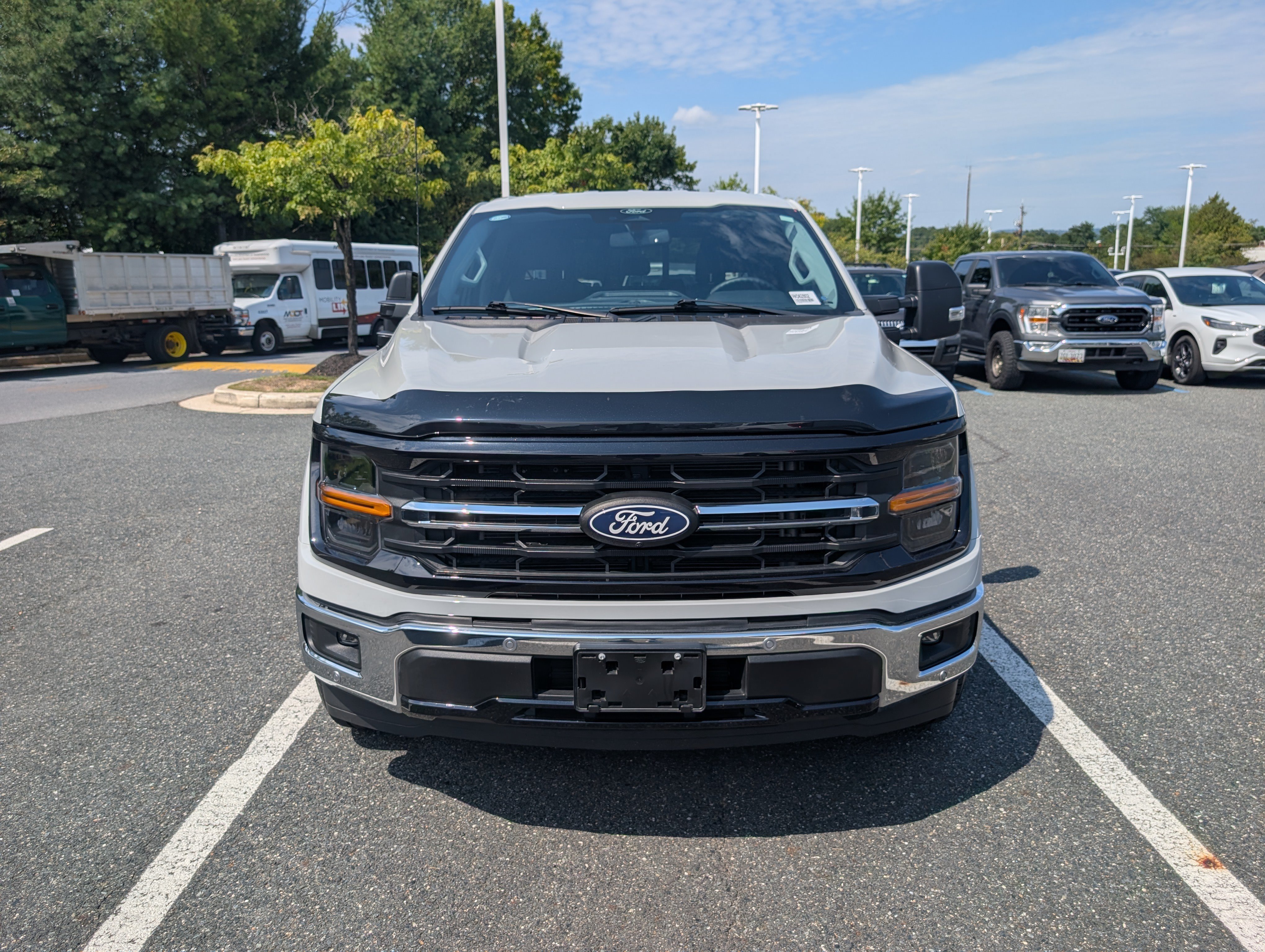 Certified 2024 Ford F150 XLT w/ Equipment Group 302A MID RWD image 8