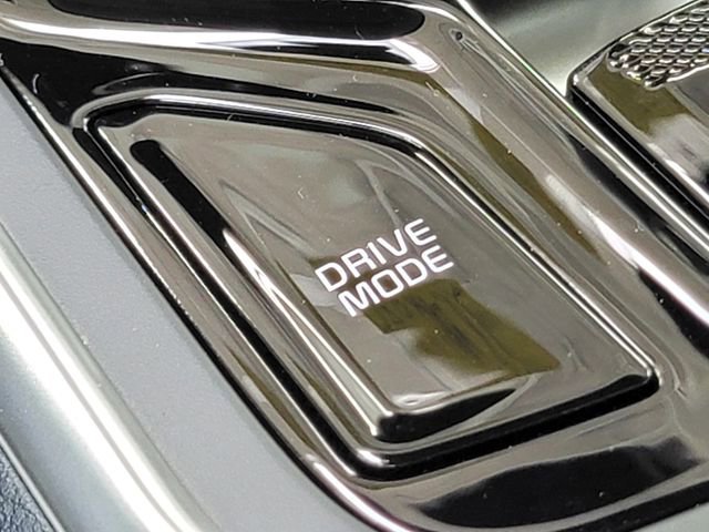 New 2026 Kia Carnival SX Prestige image 28