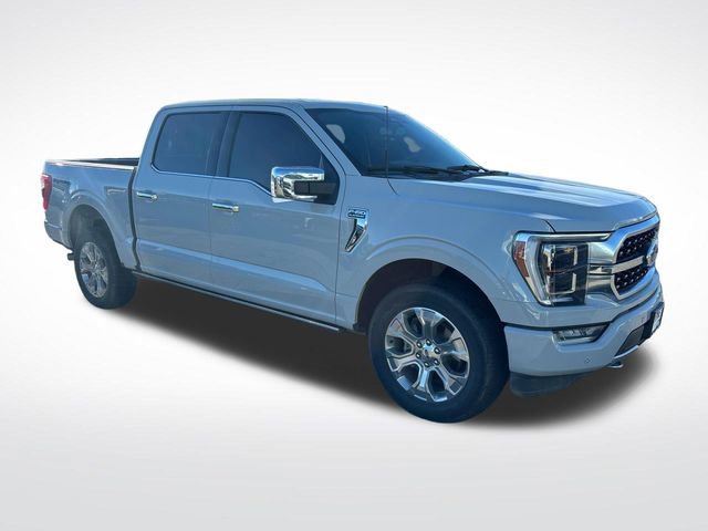Used 2023 Ford F150 Platinum image 5