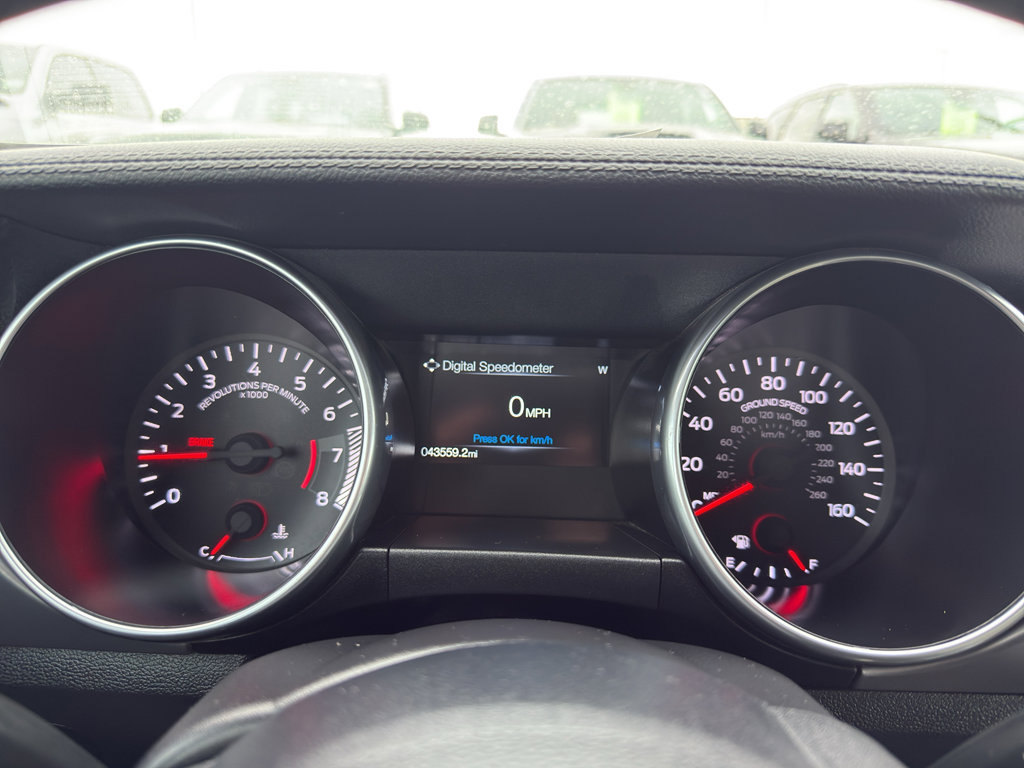 Used 2019 Ford Mustang Premium RWD image 16