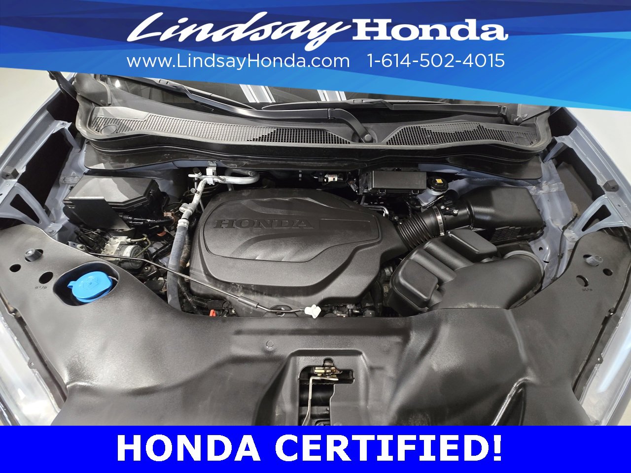 Certified 2024 Honda Passport Black Edition image 24