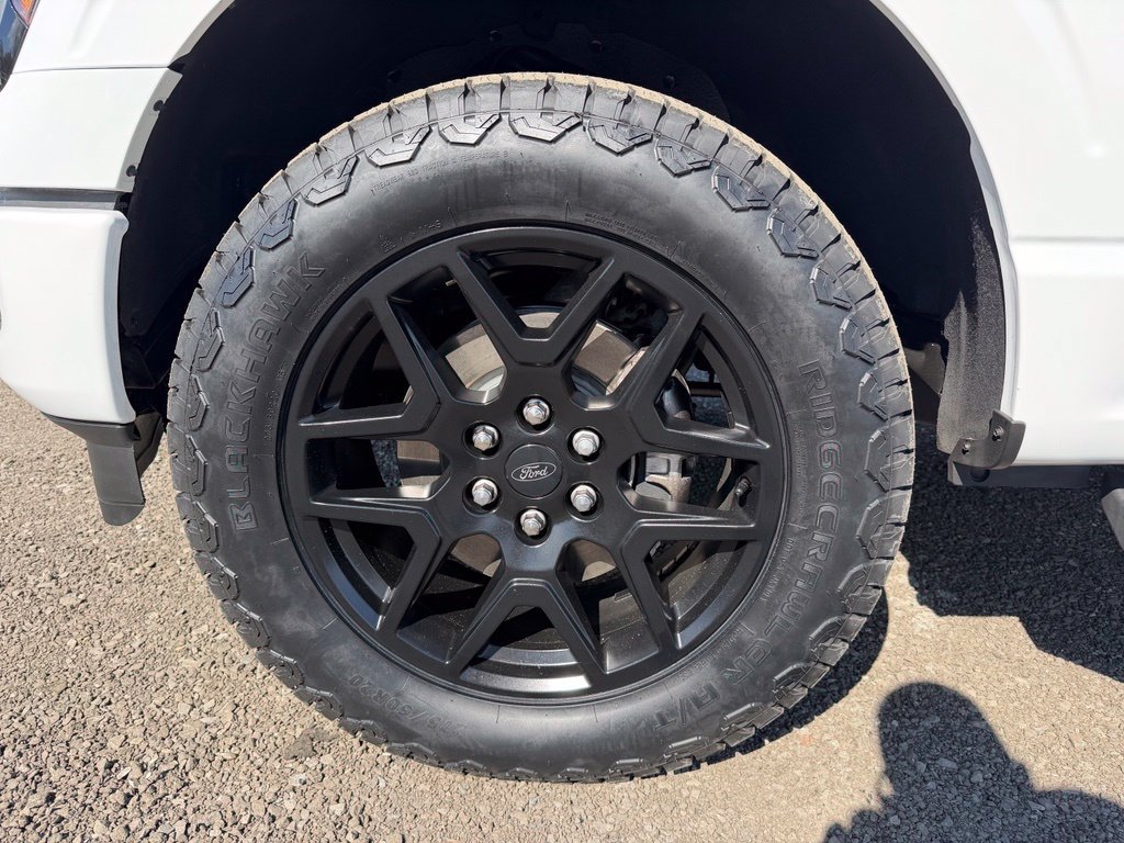 Used 2025 Ford F150 STX w/ STX Black Appearance Package AWD/4WD image 13