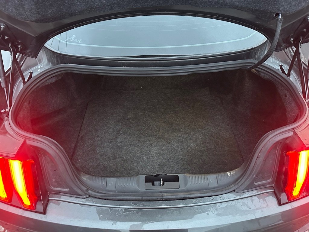 Used 2019 Ford Mustang GT w/ GT Performance Package RWD image 7