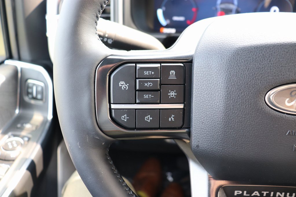 New 2025 Ford F250 Platinum image 34