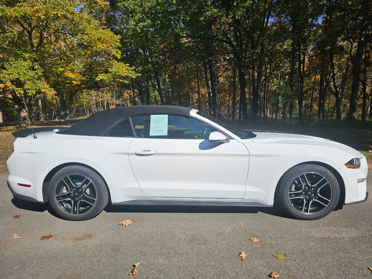 Used 2018 Ford Mustang Premium RWD image 4