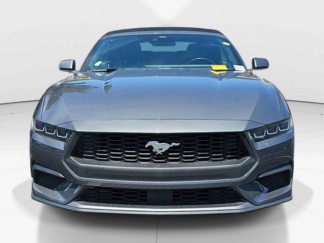 Used 2024 Ford Mustang Premium RWD image 8
