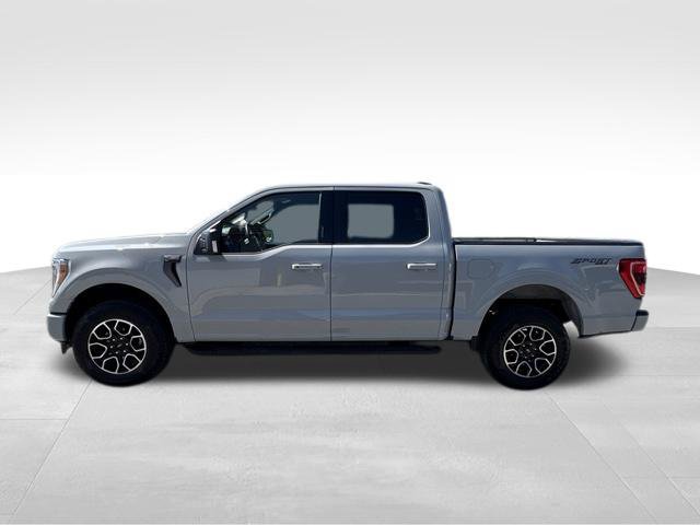 Used 2023 Ford F150 XLT w/ Equipment Group 302A High AWD/4WD image 12
