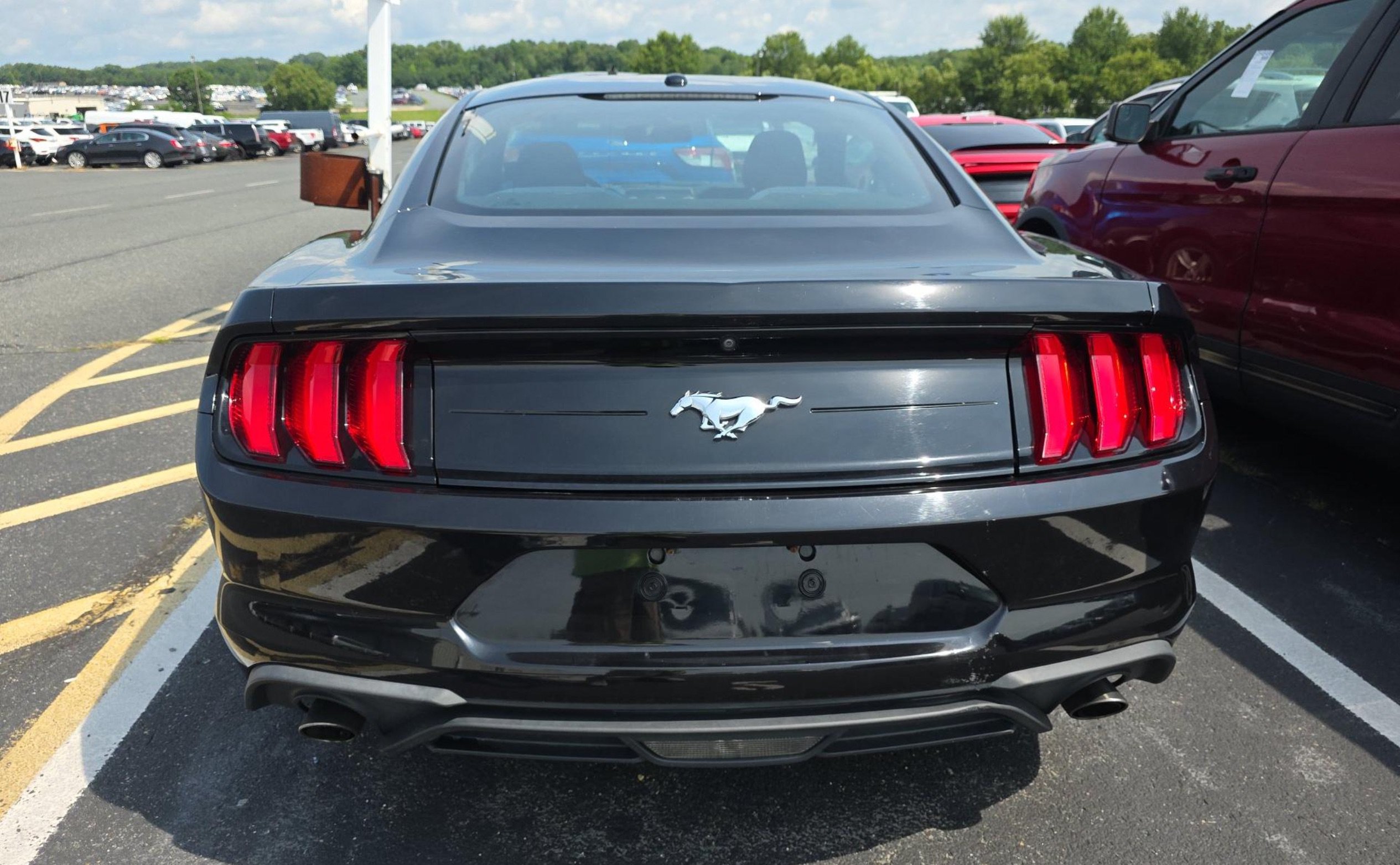 Used 2020 Ford Mustang Coupe RWD image 5