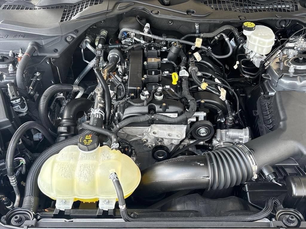 Used 2022 Ford Mustang Coupe w/ Equipment Group 101A RWD image 29