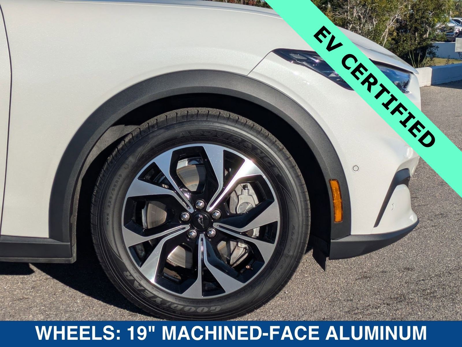 Certified 2024 Ford Mustang Mach-E Select image 11