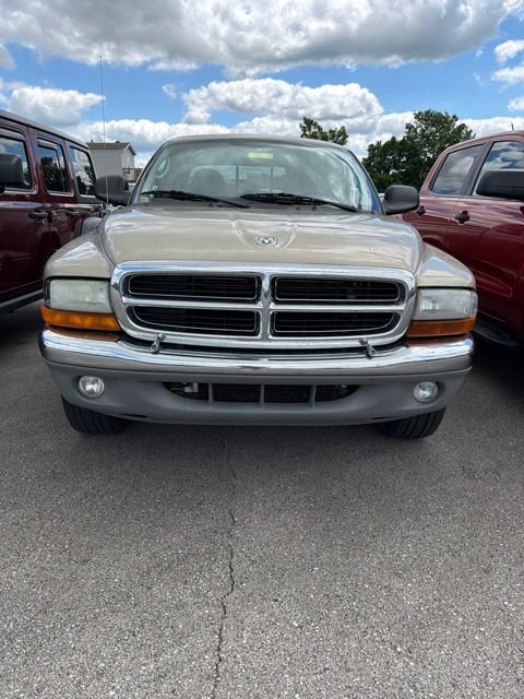 Used 2003 Dodge Dakota SLT RWD image 2