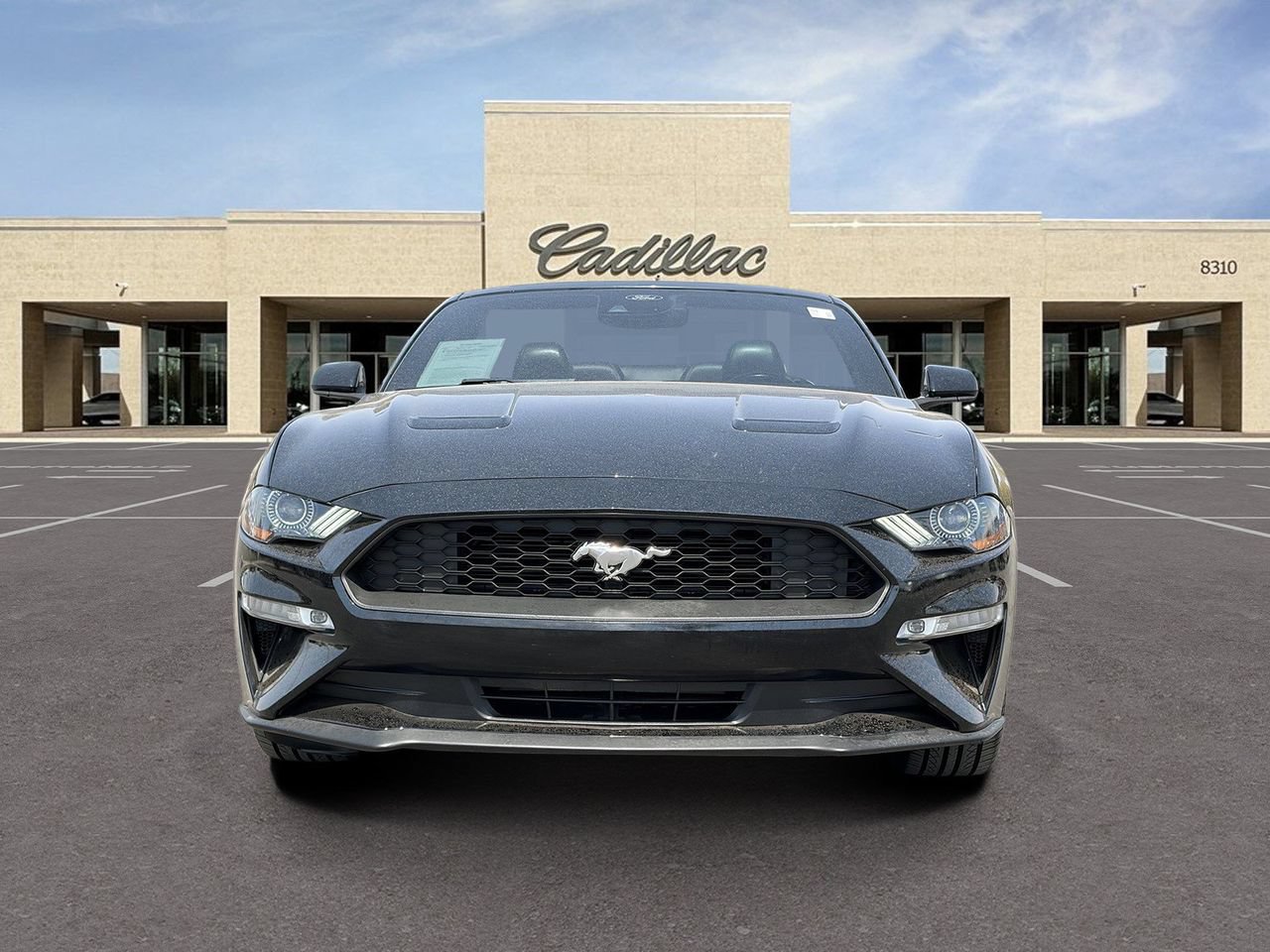 Used 2021 Ford Mustang Premium RWD image 2